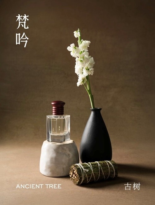 【梵吟 FanYin】ANCIENT TREE