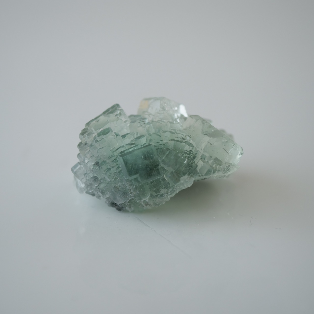 シャンファーリン産 フローライト / 原石 標本【A_1】