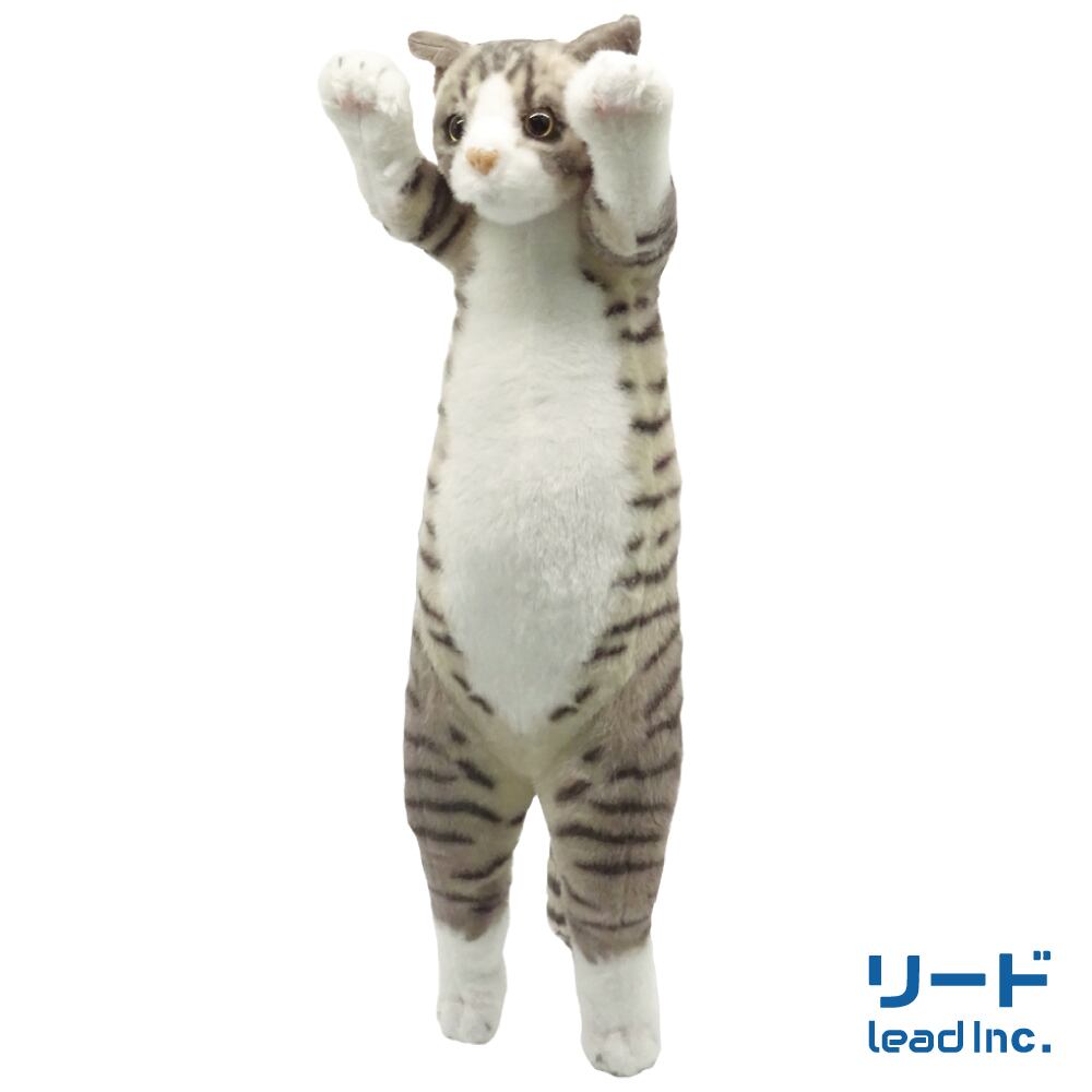 たっちいZoo 猫 ぬいぐるみ 23体 たっちぃZoo にゃんこ エキゾチック