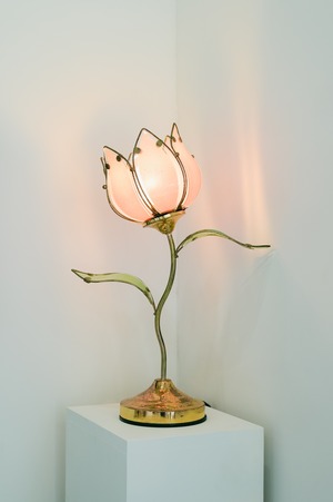 照明