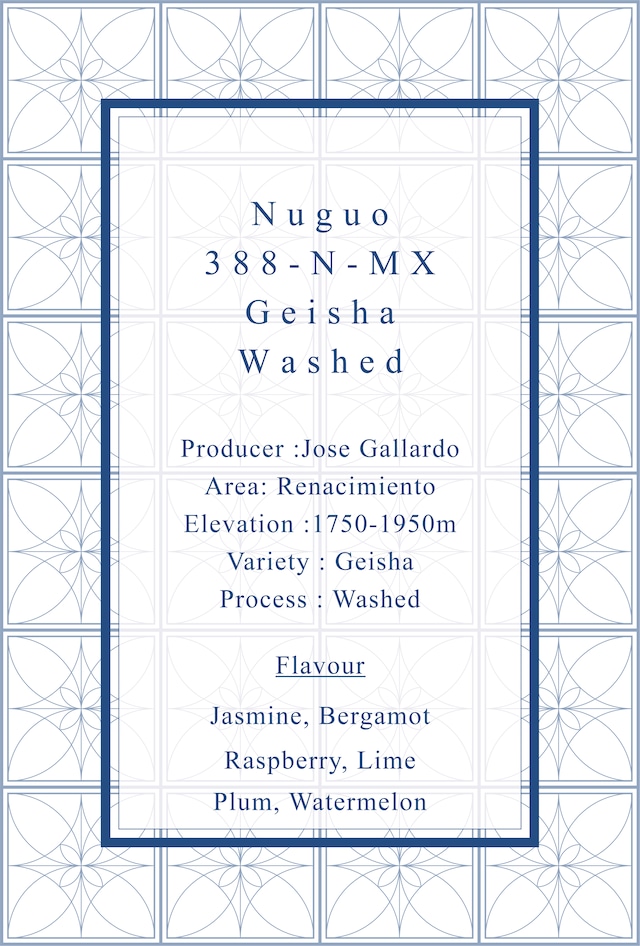 Nuguo 388-N-MX Geisha Washed