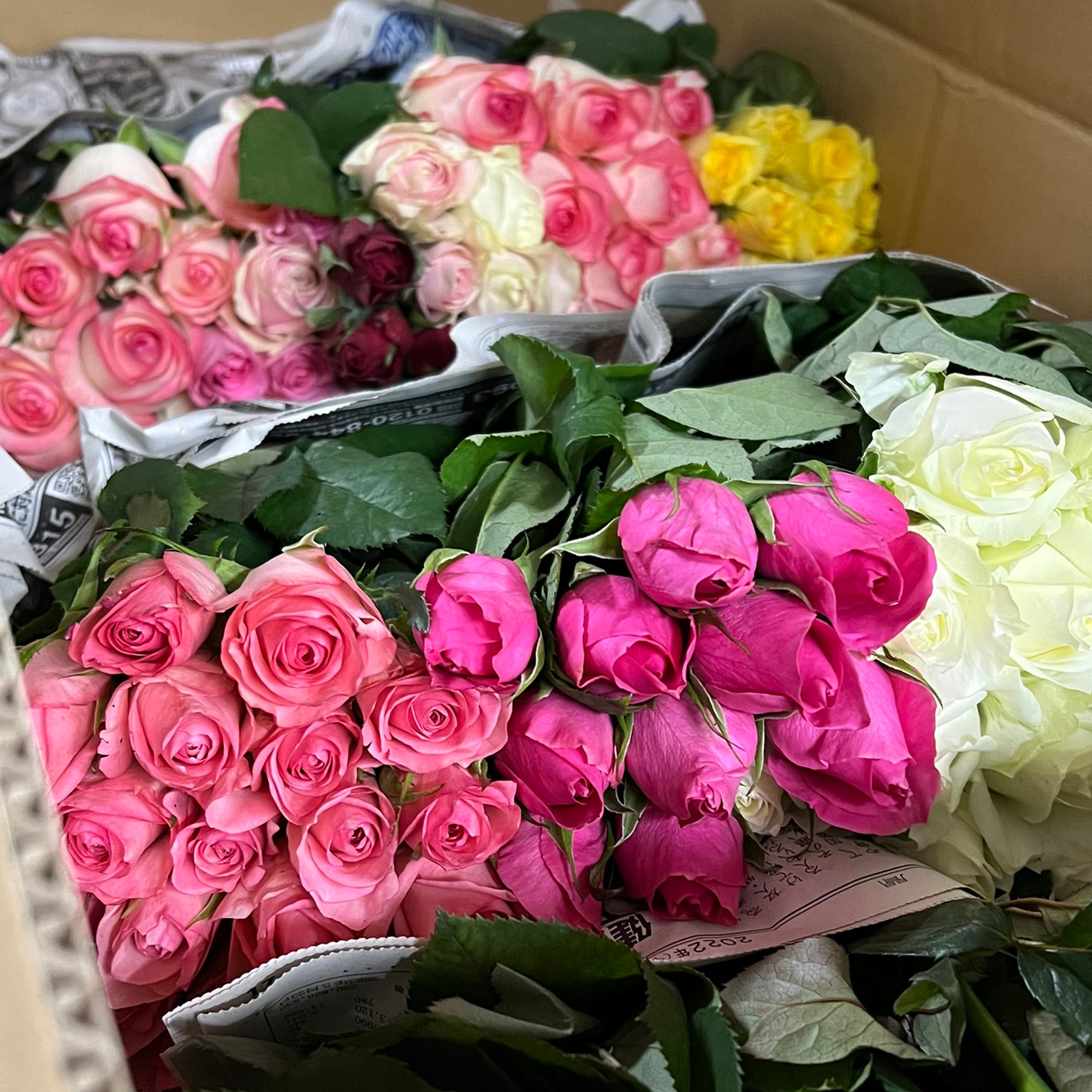 規格外品☆救済企画〉ショート☆ダズンローズ 12本＋葉もの