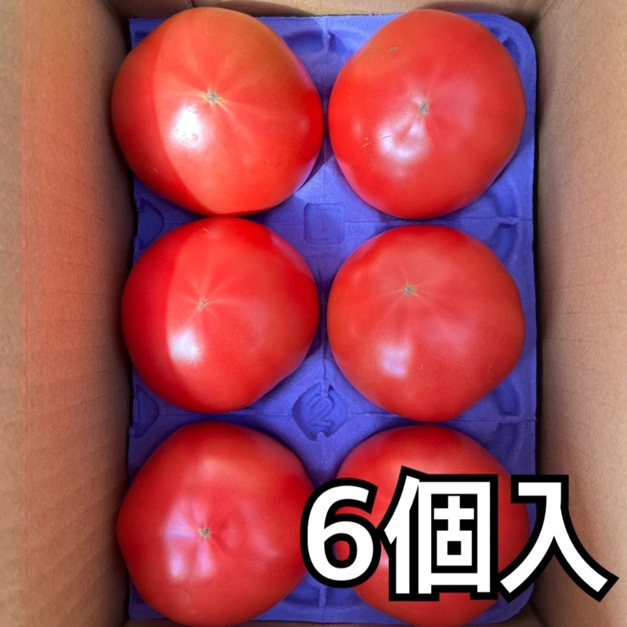 新鮮桃太郎春トマト　６個　トレイ入り　１㎏以上　９００円
