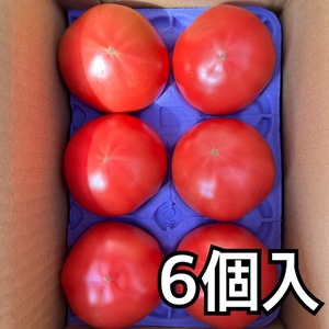 新鮮桃太郎春トマト　６個　トレイ入り　１㎏以上　９００円