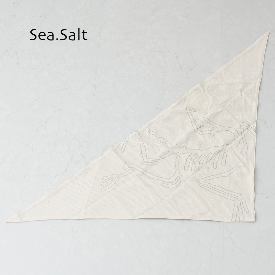 ARC'TERYX [アークテリクス正規代理店] Sinsolo Bandana [X000010184