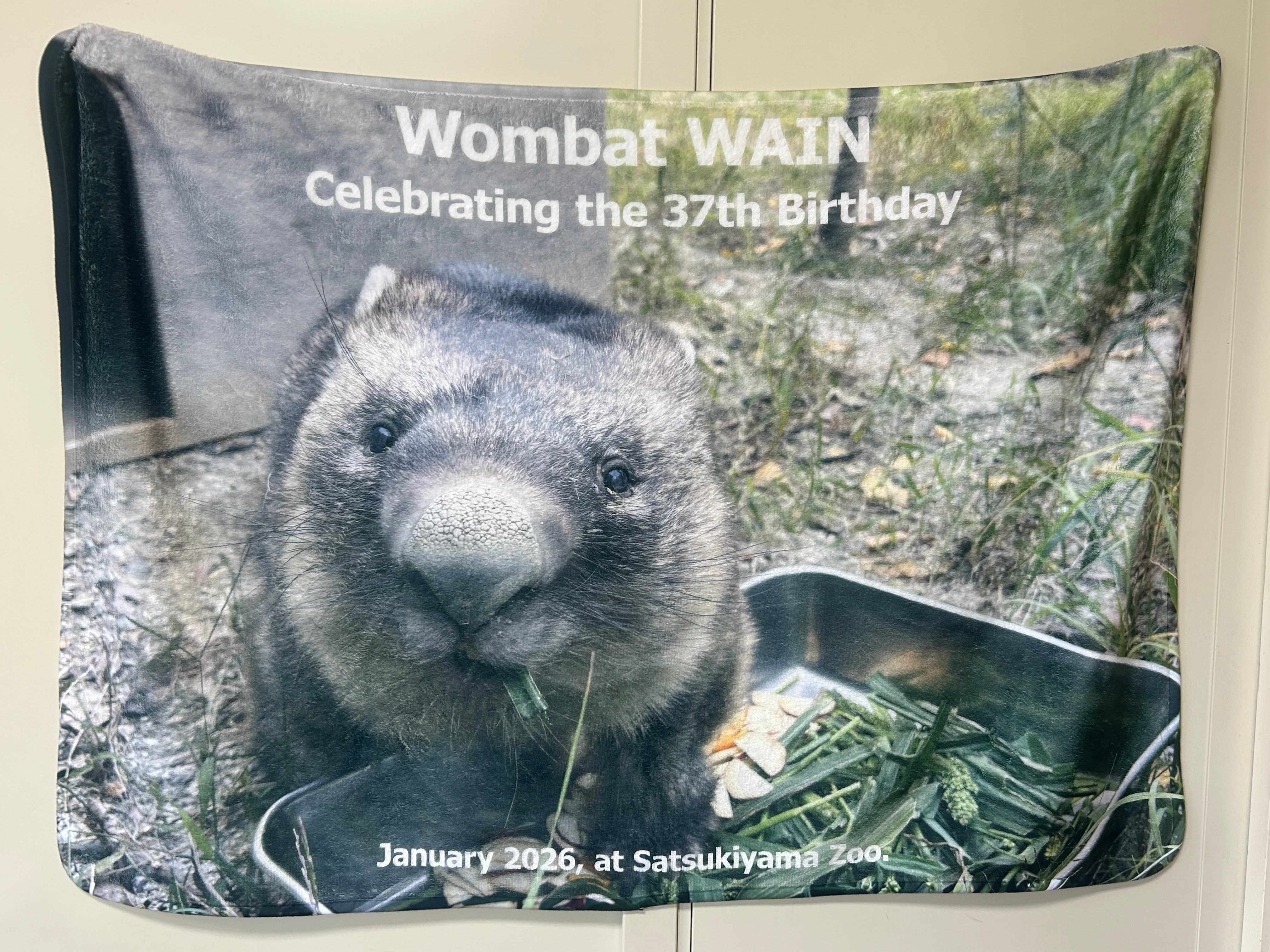 ワイン誕生日記念グッズ タペストリー&ブランケット | 五月山動物園