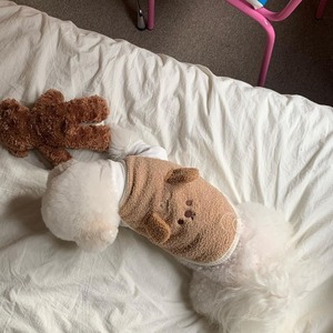 【PET】2色展開韓国風フワフワ裏起毛可愛い立体感あるクマ柄模様デザインペットベスト