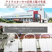 アイリスオーヤマ(IRIS OHYAMA) 不織布マスク 大きめ 65枚入 ホワイト 耳が痛くならない PN-NV65LL 白 大きいサイズ