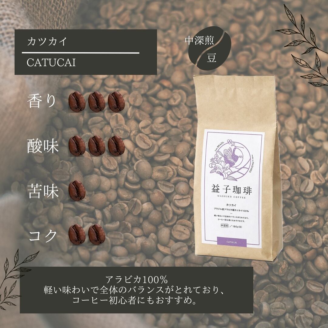 レギュラーコーヒー カツカイ スタンダード(豆) 180g | 益子珈琲