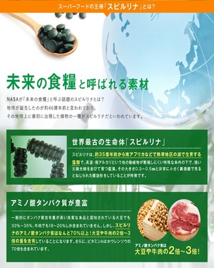 キングスピルリナPREMIUM 無添加 有機スピルリナ100％ USDA認証 国内製造 500粒入り