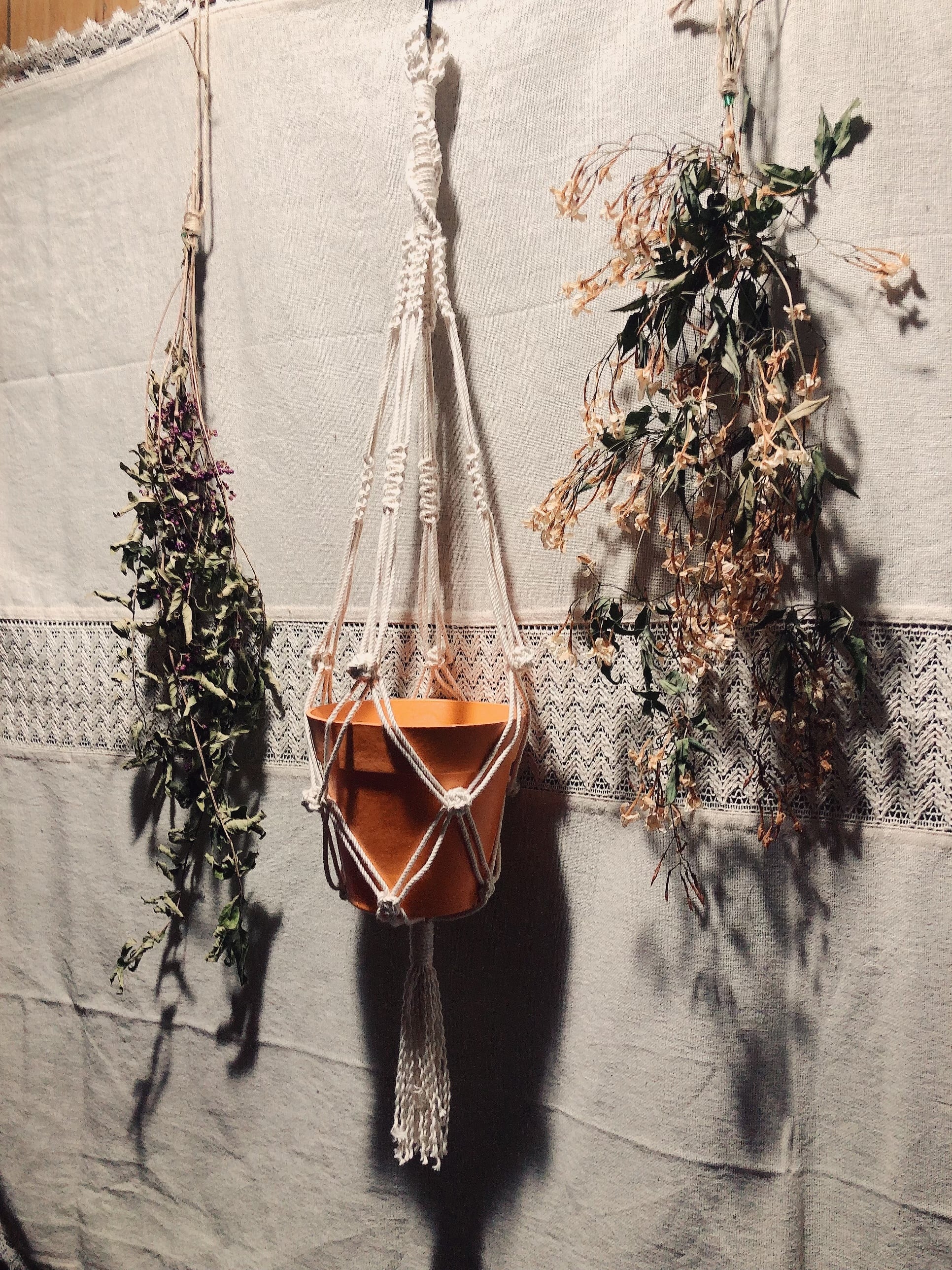 プラントハンガー 運び出す オーダーページ 