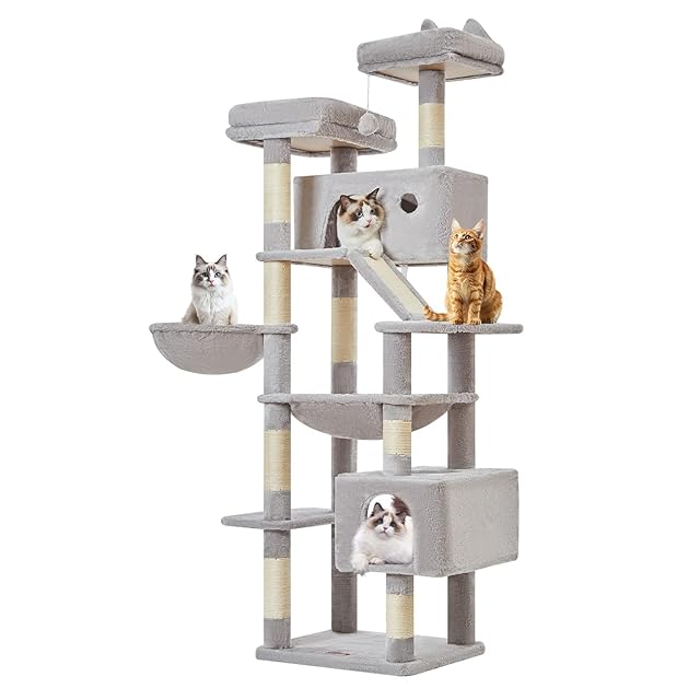 Yahoo キャットタワー 大型猫 Amazon LULUCAT キャットタワー 木製