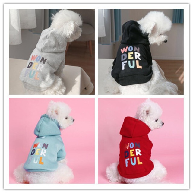 おすすめ☞《予約》1102142 WONDERFUL フーディーパーカー