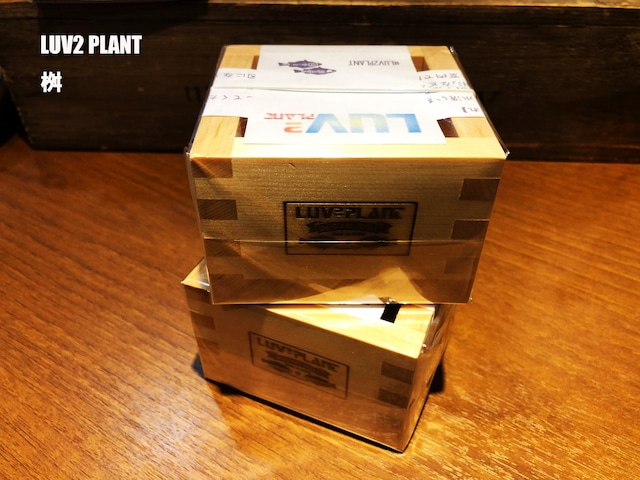 【BASSHACK x LUV2PLANT x LAHM】【数量限定】【STORE EVENT 限定記念アイテム】LUV2PLANT 桝 LAHM