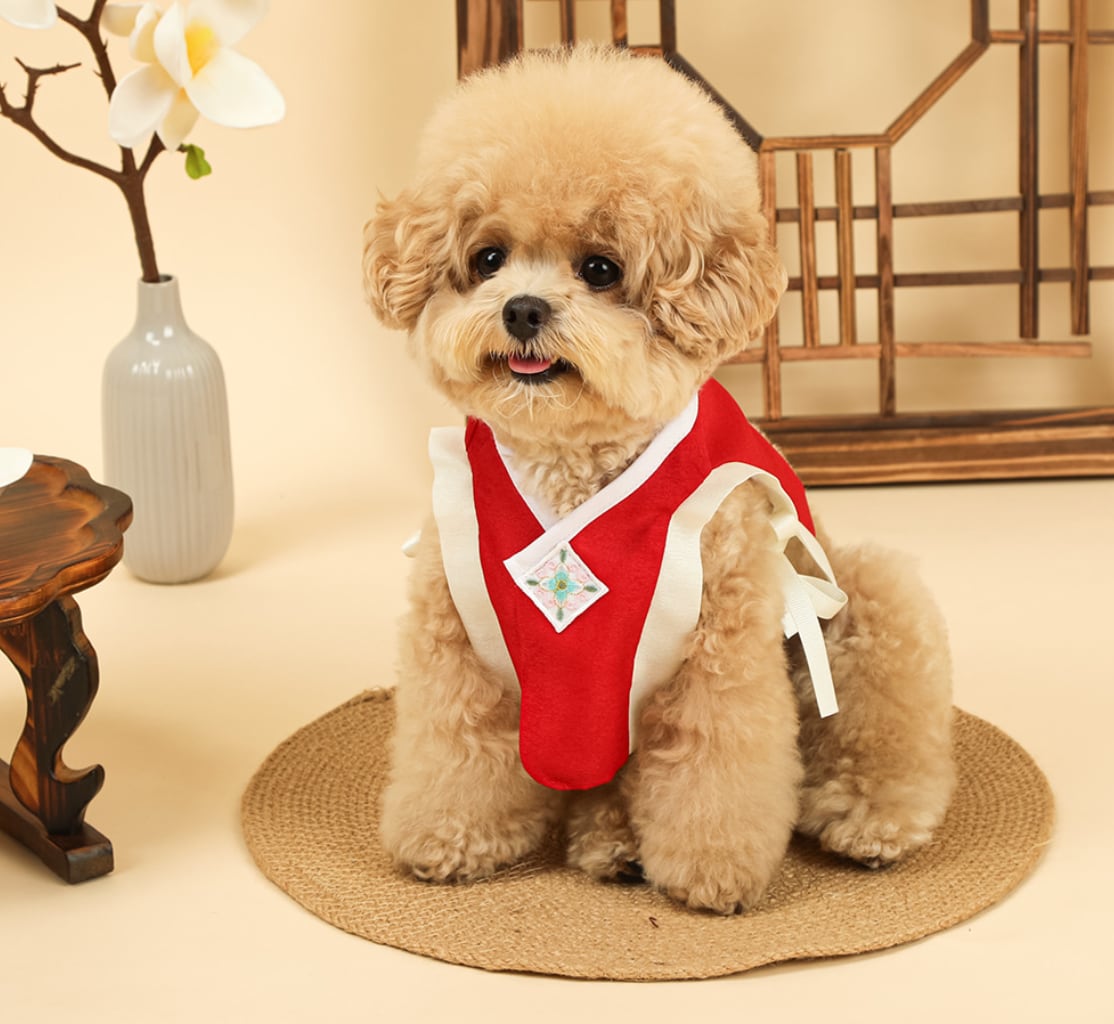 予約【ritogato】Traditional Hanbok Cape Vest