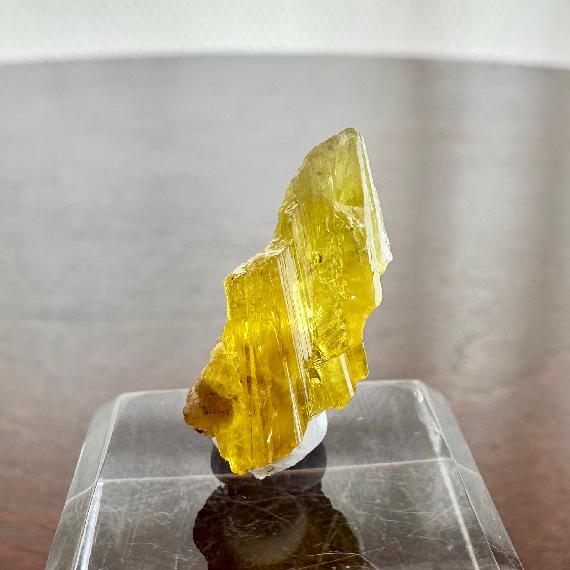 6d98206f0bd6a332dfbccef0a9af58