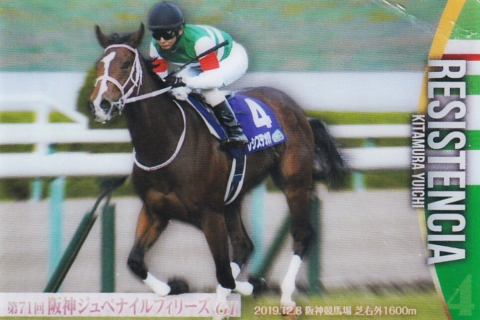 サラブレッドホースコレクション ツインウエハース | カードショップ