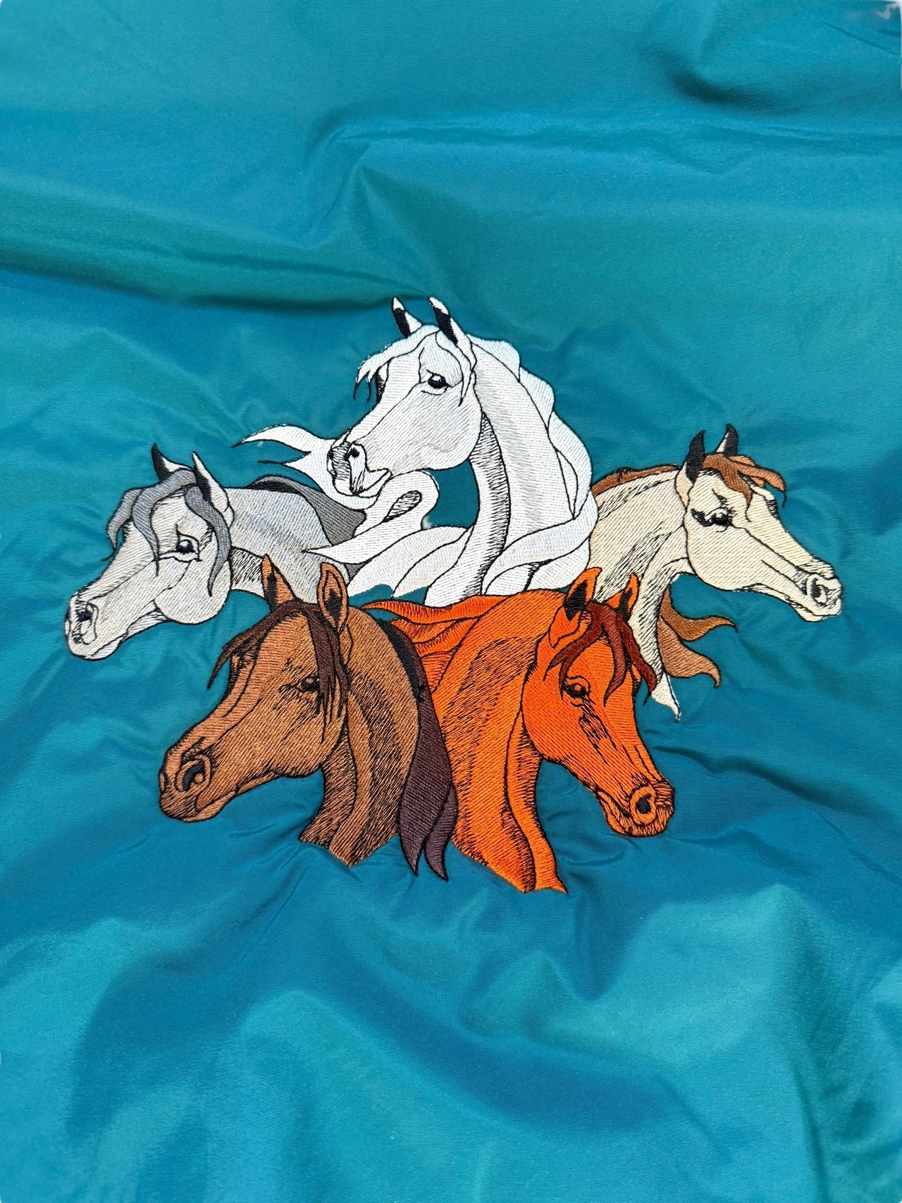 90's Tn-Mountain ナイロンジャケット 馬刺繍