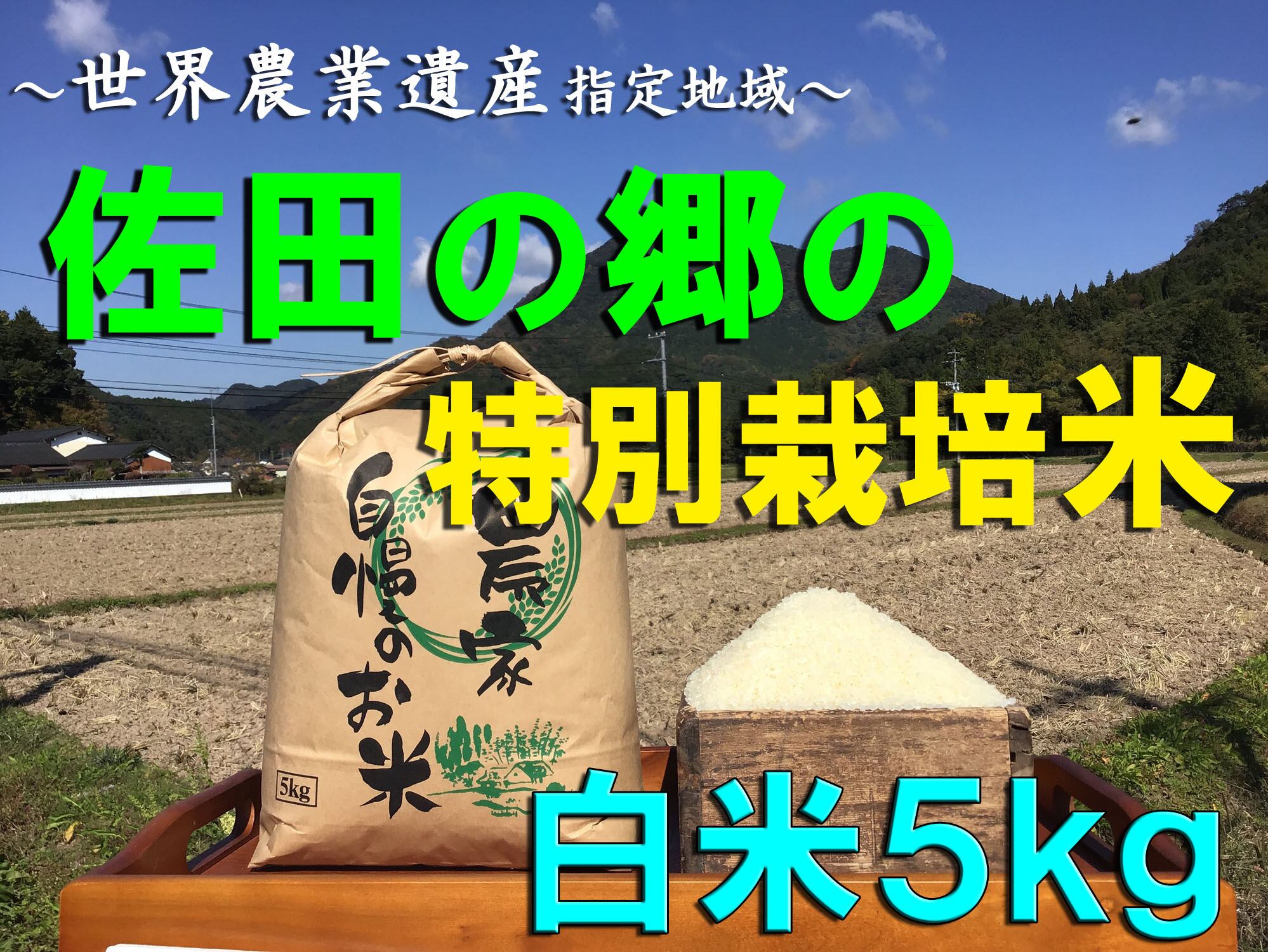 令和５年 新米 兵庫県 ヒノヒカリ 玄米 ２３キロ - 米
