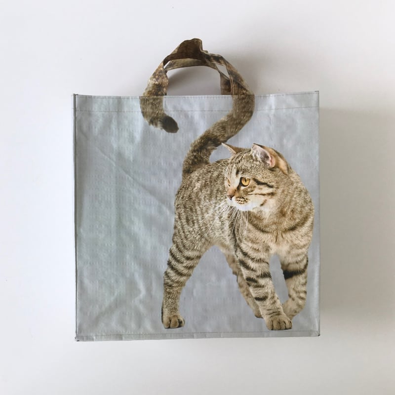 キジトラの猫のショッピングバッグ｜Tabby Brown Cat Shopping Bag