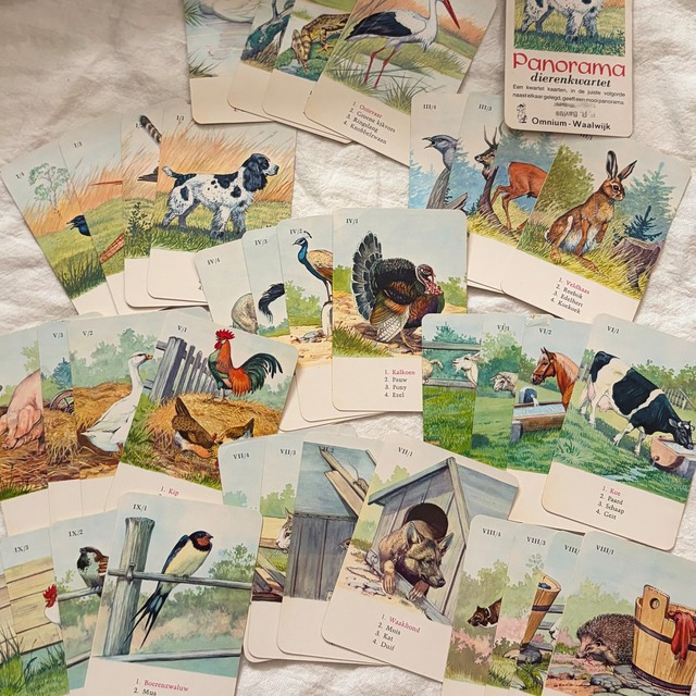 36枚の動物カード