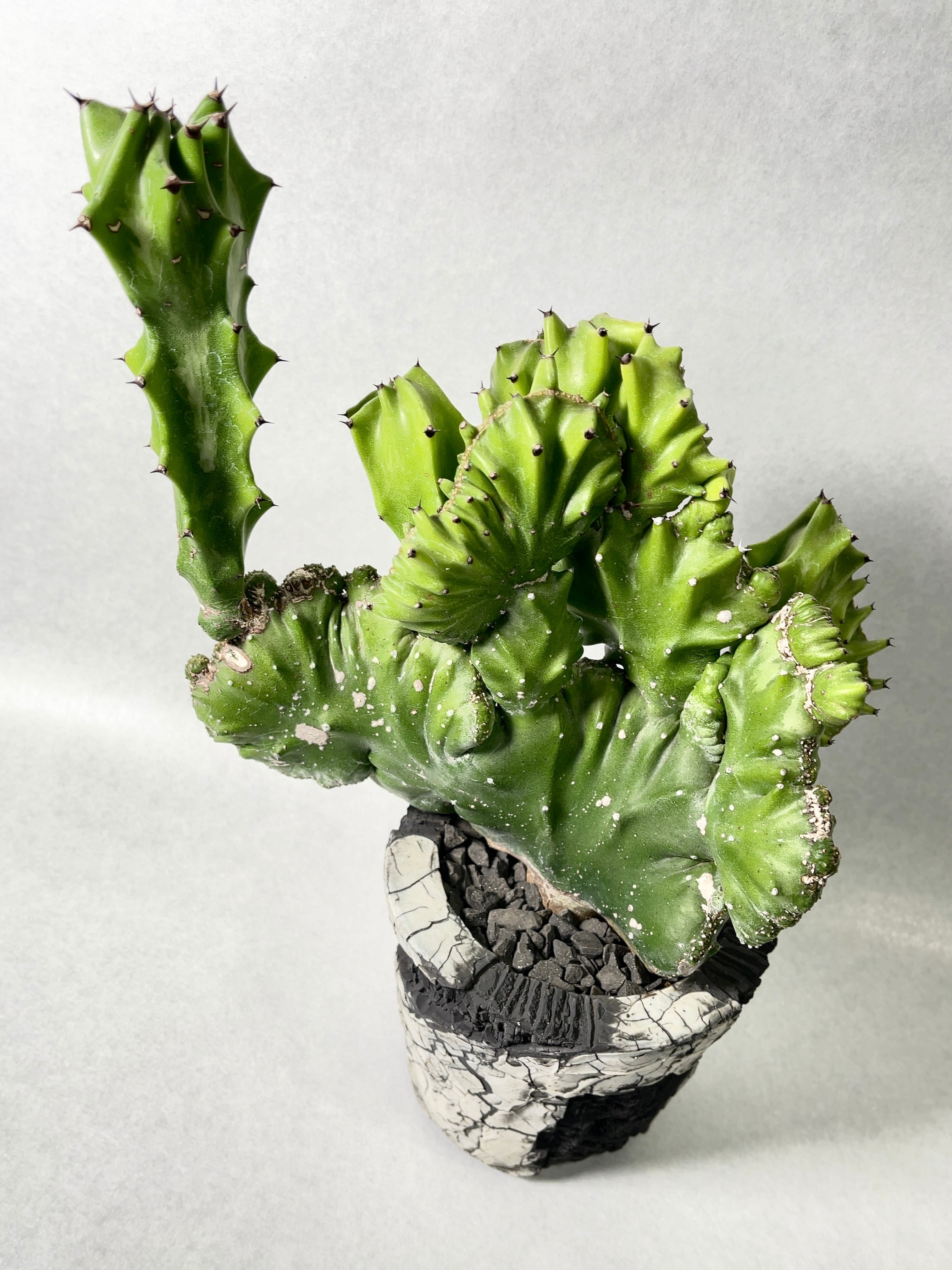 6daa42e80f363522a80722dc2b068b