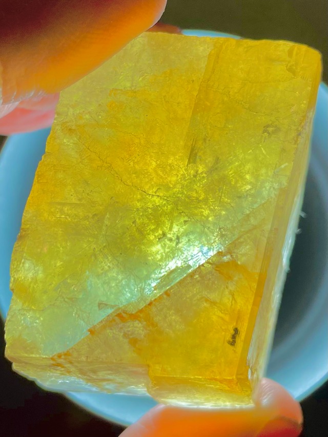 2) エネルギー活性化！「ゴールデン・ハニーカルサイト」