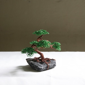 ツチンナカキ【Wirebonsai】Ssize グリーン②