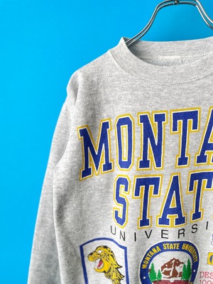 BOBCATS light sweat shirt