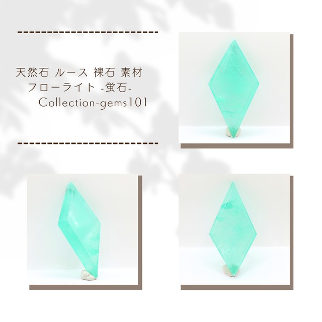 化石 アンモナイト （コーティング加工あり） kaseki48 | せんとば～な 