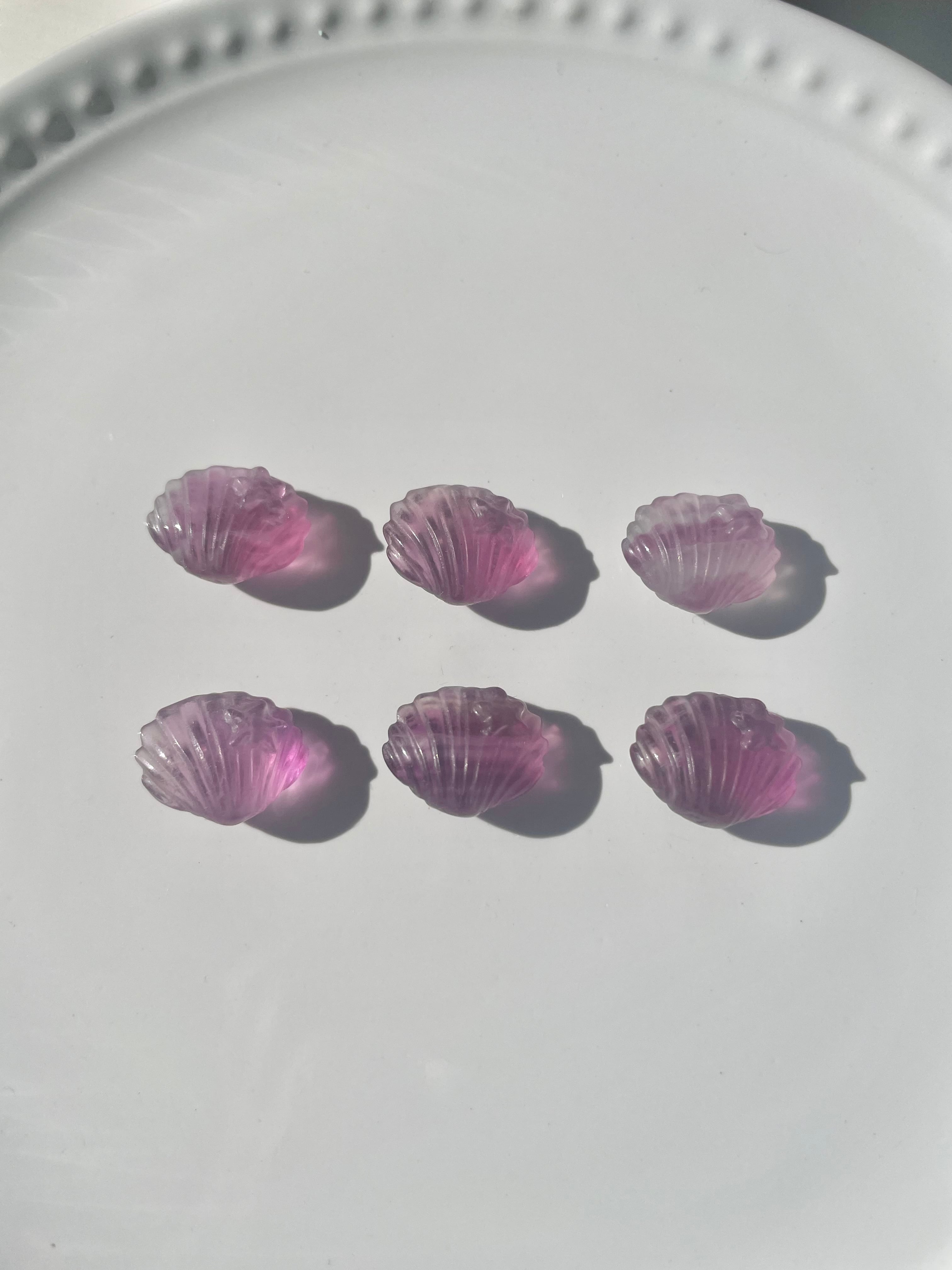 Fluorite Shell / フローライト　貝