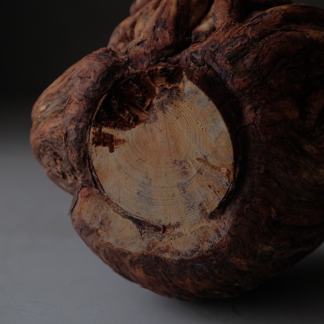 Tree burl