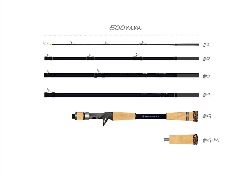 TRANSCENDENCE LateBloomings Zinia56+