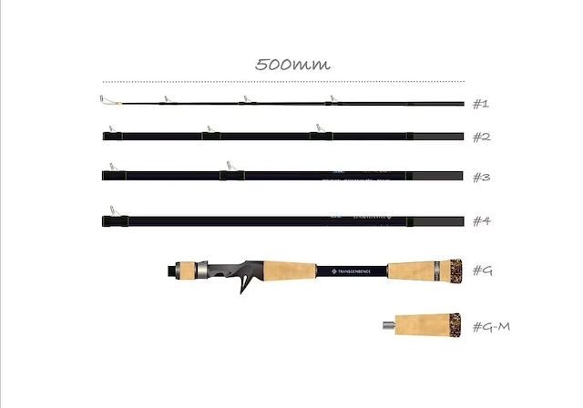 TRANSCENDENCE LateBloomings Zinia56+