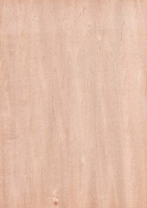 天然木ツキ板シート　シナ　薄色系