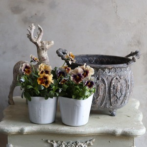 ブリキ植木鉢　アンシャンデコレオーバルSDGY　アンティーク調　シャビーシック　オシャレ　UF575