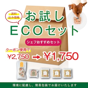 【送料込】お試しECOセット＜シェフおすすめセット＞