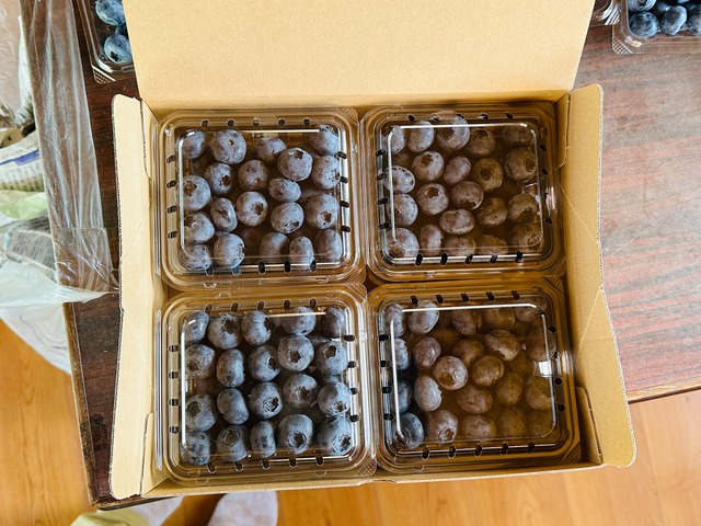 【3L以上】【約500ｇ】小分けパック（125g×4パック入り）大粒ブルーベリー