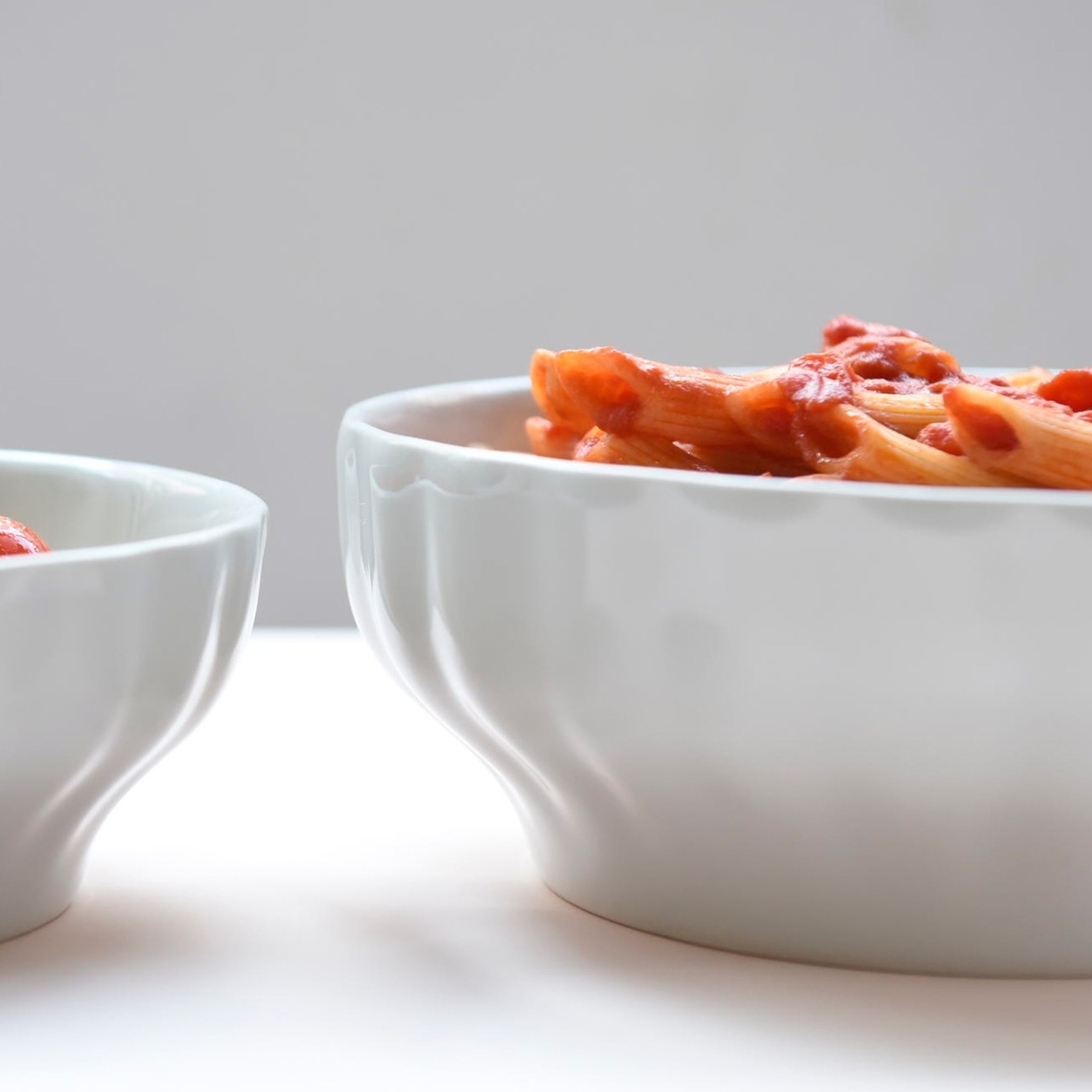 サタルニア リブボウル 20