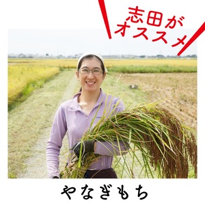 【自然栽培米】糯米・白米　やなぎもち　５kg