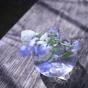 秋友伸隆 しずく Shizuku (Droplet) by Nobutaka Akitomo