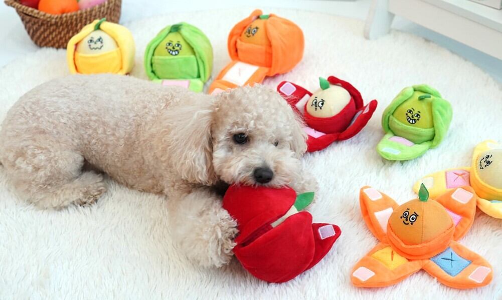 【韓国より仕入れ】知能玩具　おやつが隠せる　果物　犬用　おもちゃ