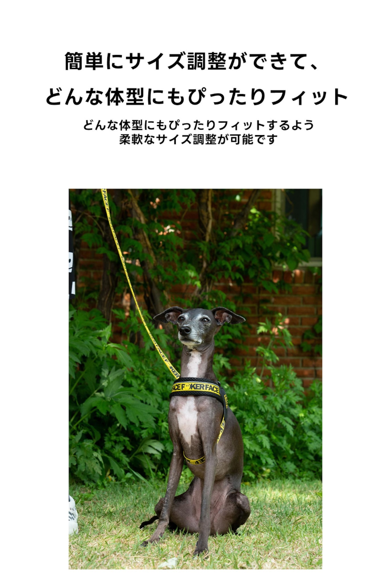 【PUPPYGALLERY公式】Vハーネス M/L