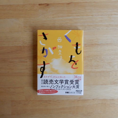 くもをさがす（河出文庫）