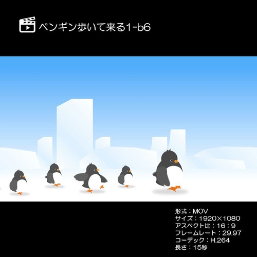 ペンギン歩いて来る1-b6