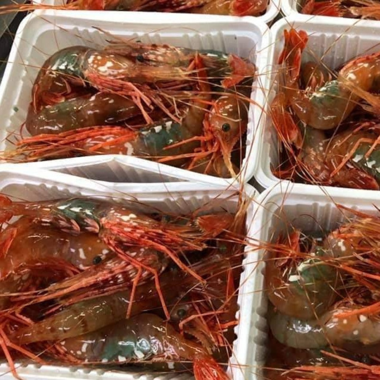 北海道産ボタンエビ(メス)500g