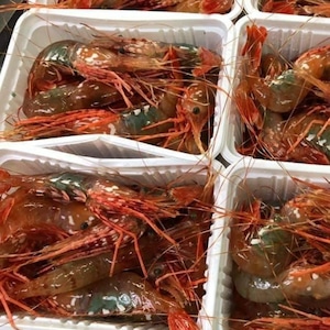 北海道産ボタンエビ(メス)500g