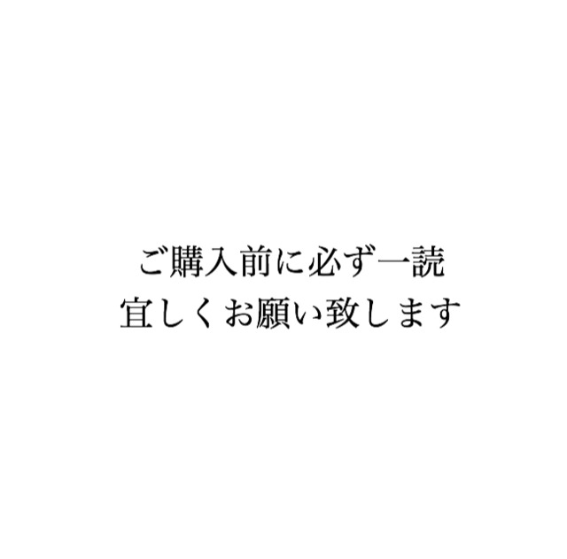 〈ご購入前に一読よろしくお願い致します〉