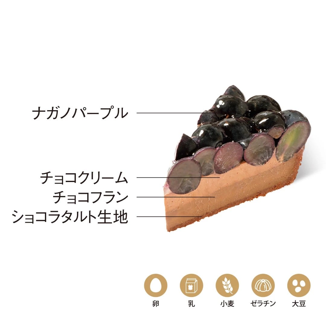 〈5HORN〉ナガノパープルタルト 1個【期間限定 10/6配送分まで】
