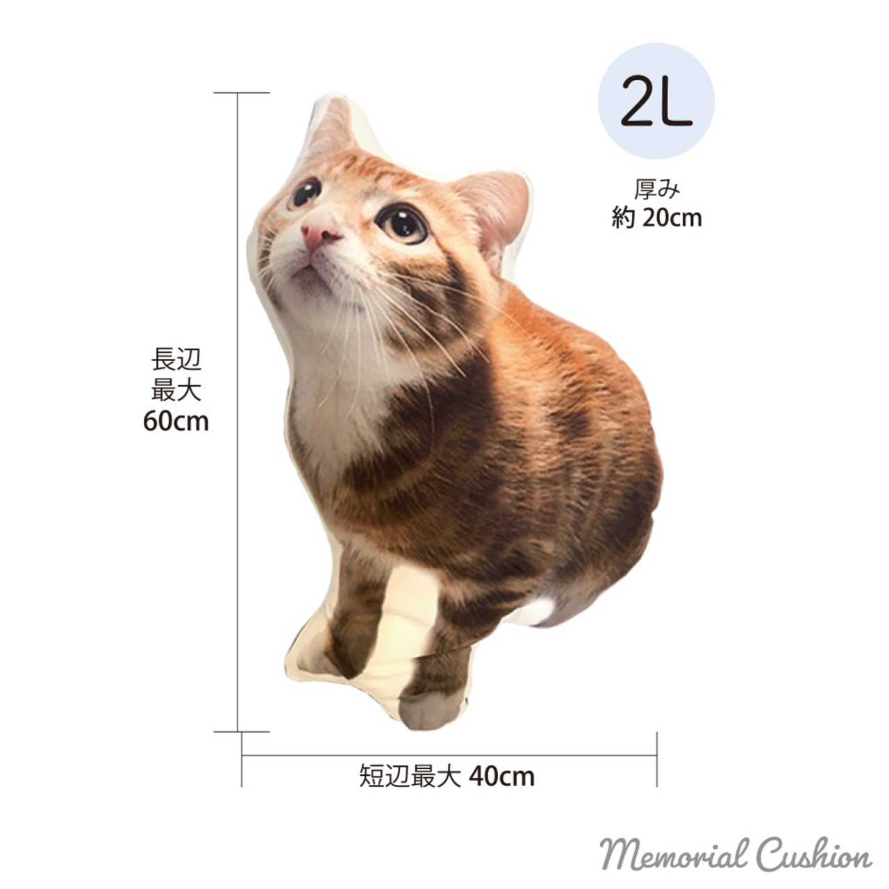 メモリアルクッション【背面モコモコ生地】2Lサイズ